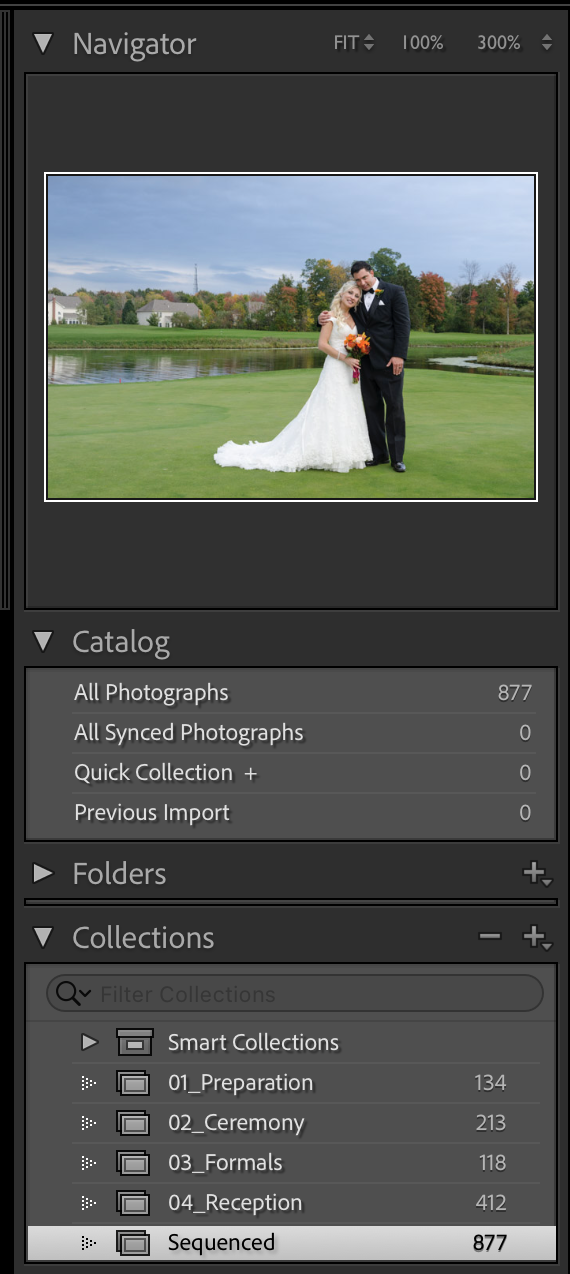 Sequenced_menu.png